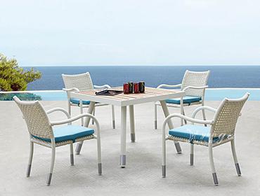 WA4011 Dining set