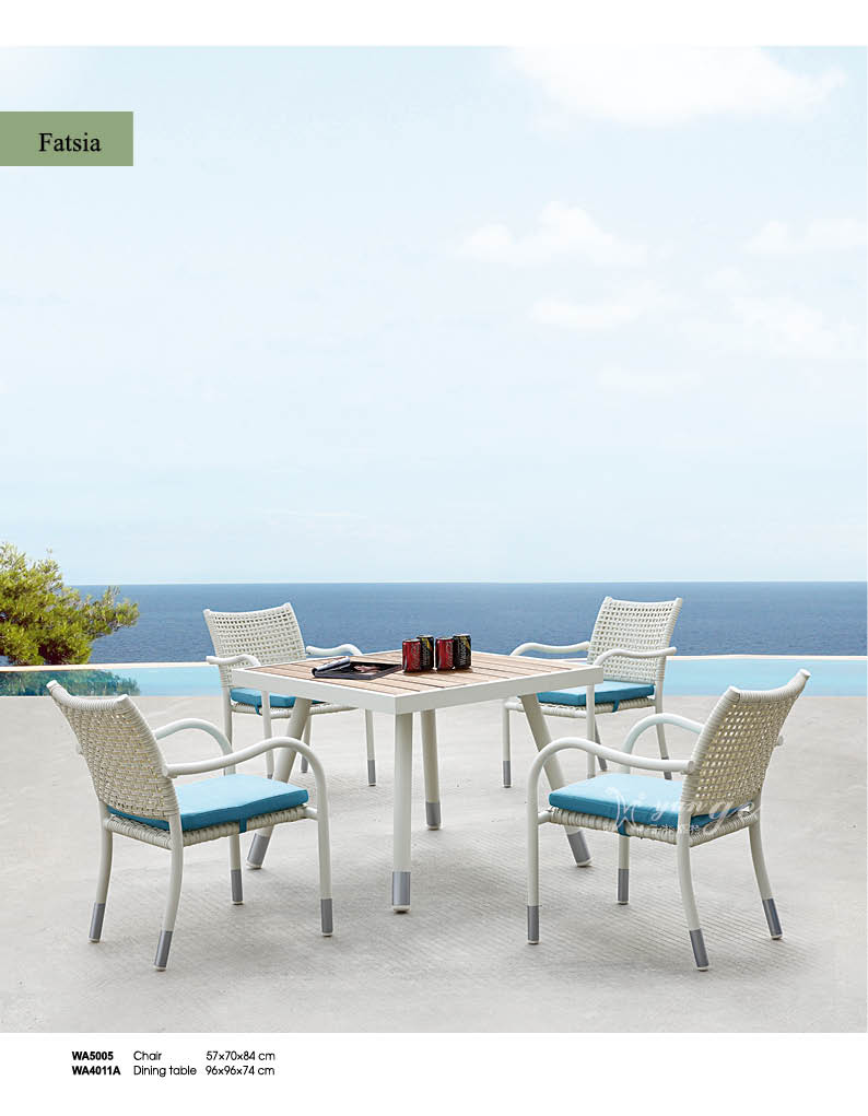 WA4011 Dining set.jpg